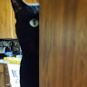 Meet your Posher, Within these walls design studio